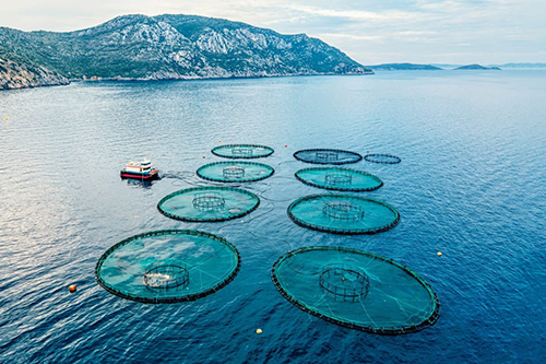 Aquaculture