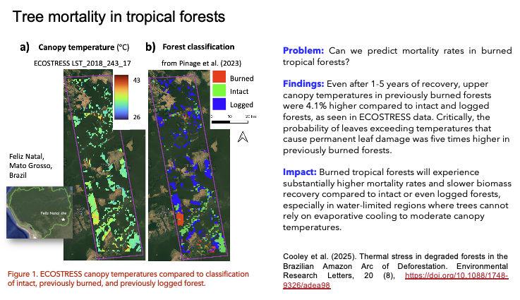 Tree mortality